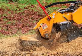 Best Lot and Land Clearing  in Spackenkill, NY