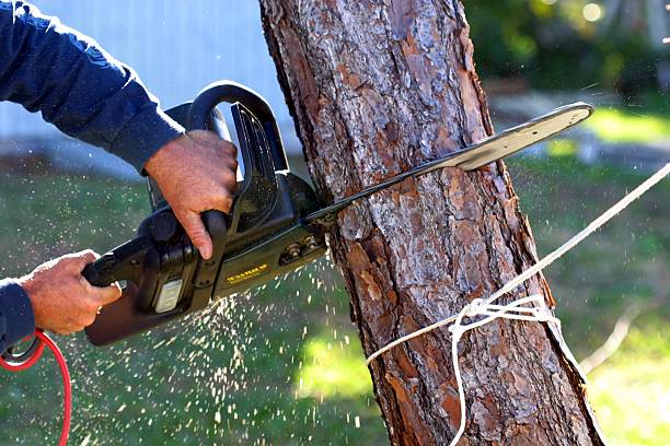 Best Aeration Services  in Spackenkill, NY